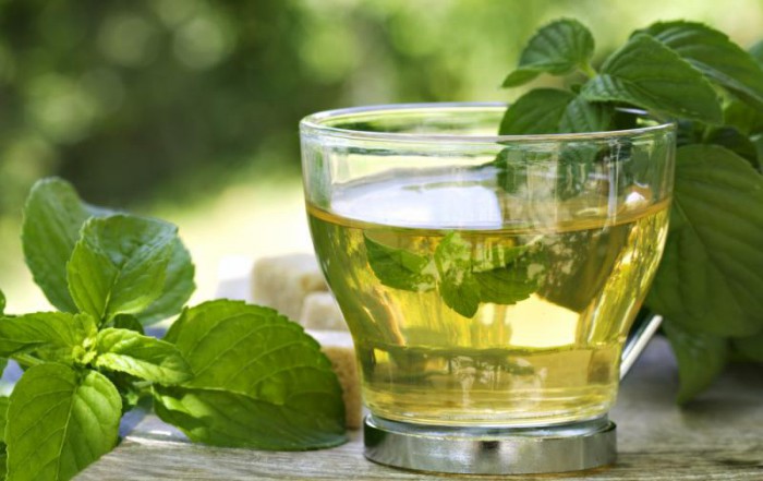 El té verde adelgaza y es beneficioso para la salud.