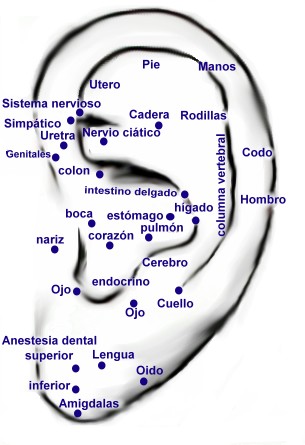 img_auriculoterapia1