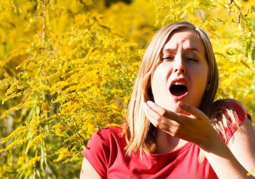 Aliviar los síntomas de la alergia con homeopatía