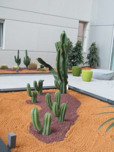 Jardinería y Paisajismo con cactus y crasas por Pepe Plana