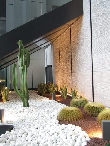 Jardinería y Paisajismo con cactus y crasas por Pepe Plana