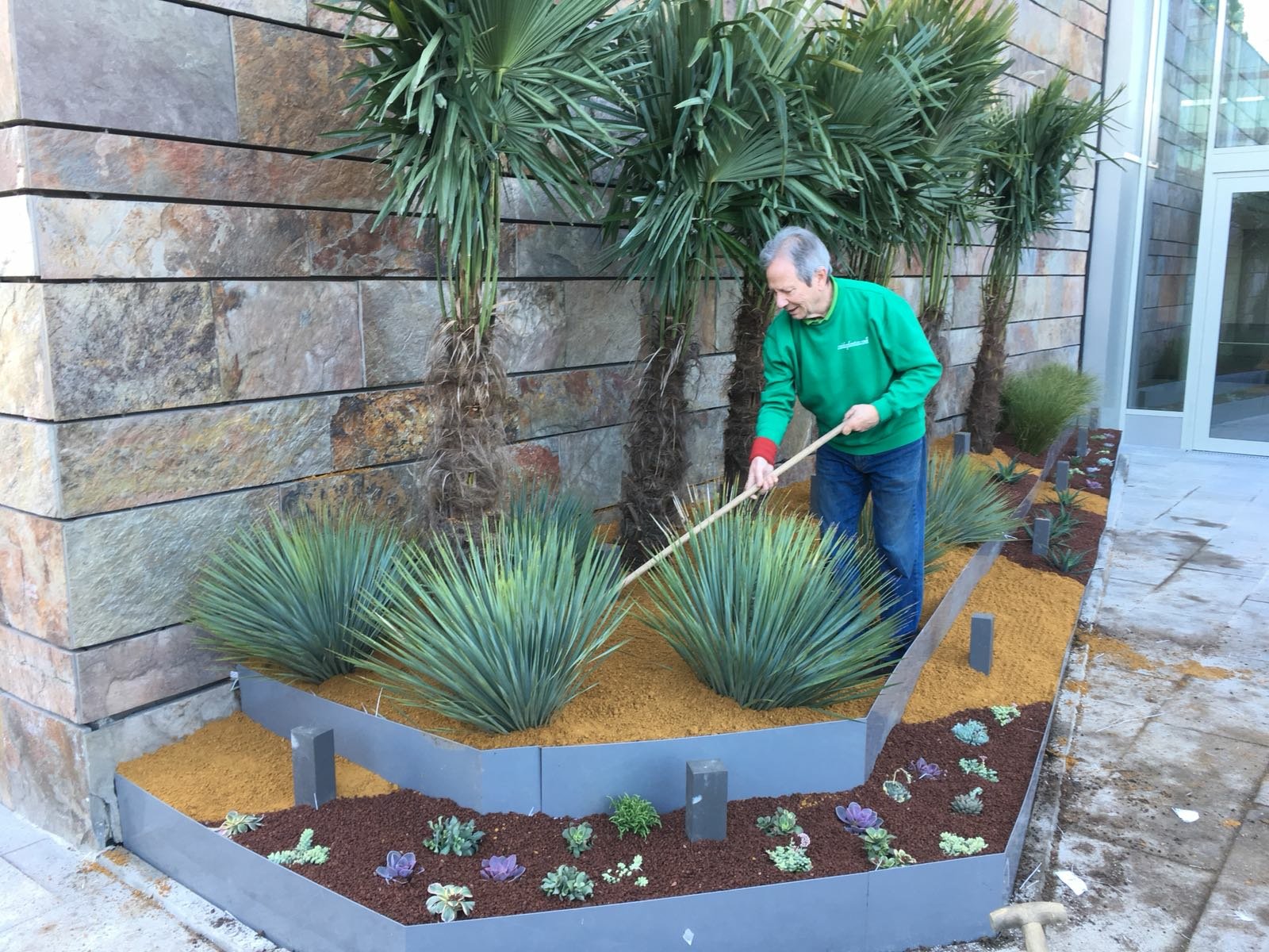 Paisajismo y jardinería en Madrid con cactus y crasas: Entrevistamos a Pepe Plana