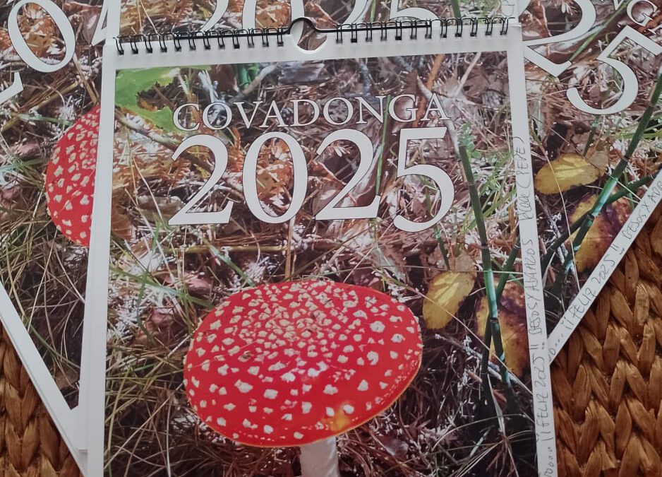 Calendario Covadonga