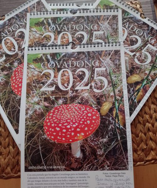 Calendario Covadonga