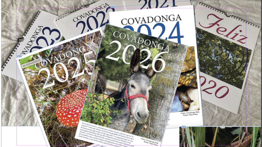 Calendario Covadonga 2026