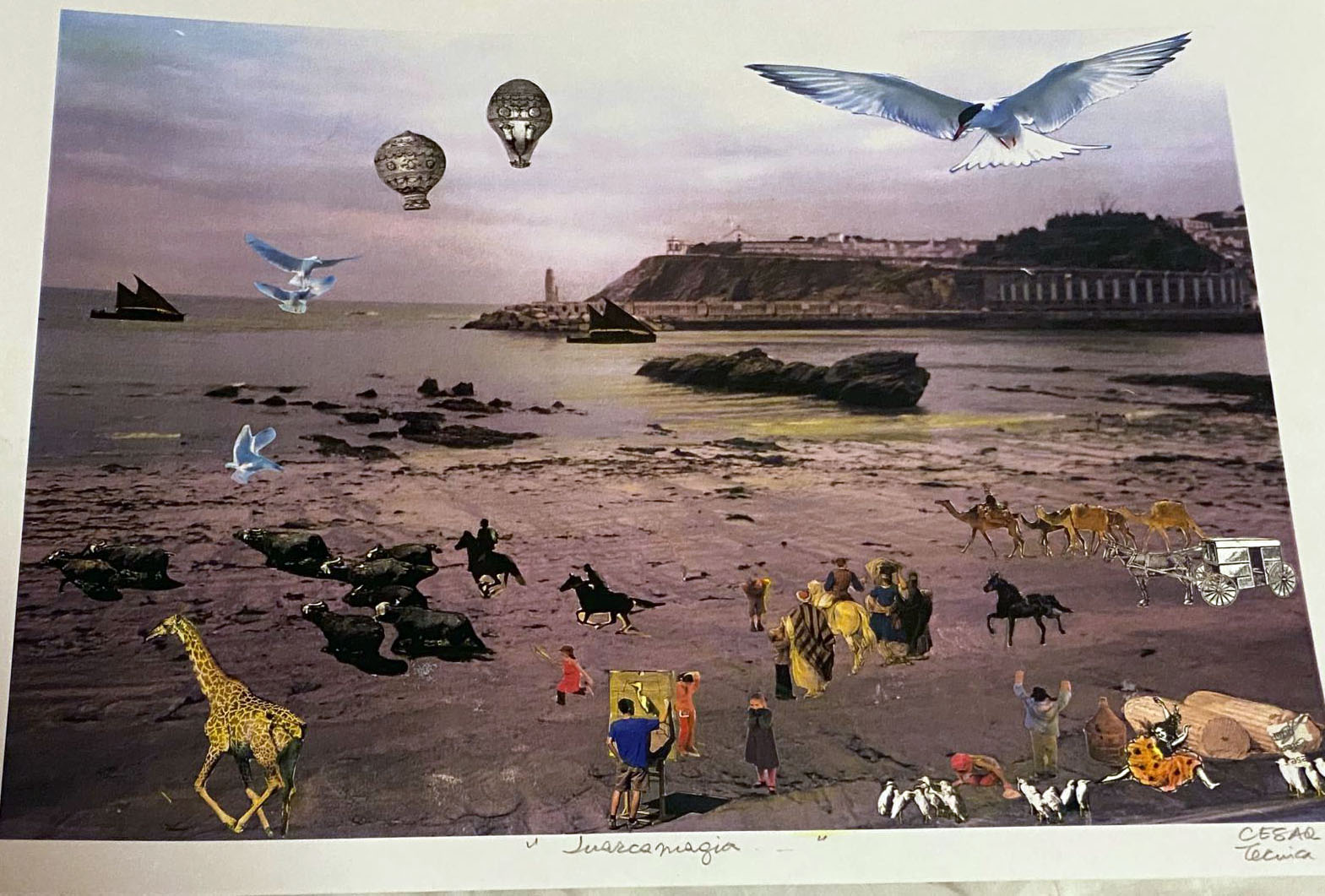 Luarca mágica Luarca mágica