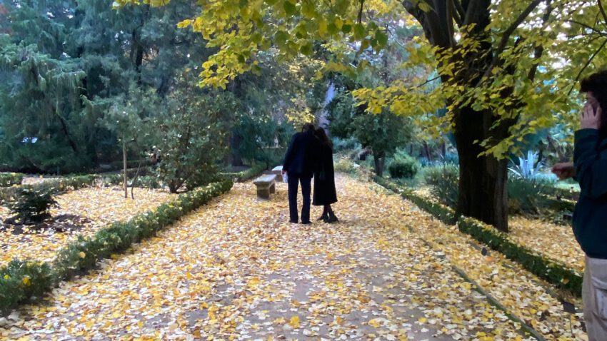 Otoño en el Botanico