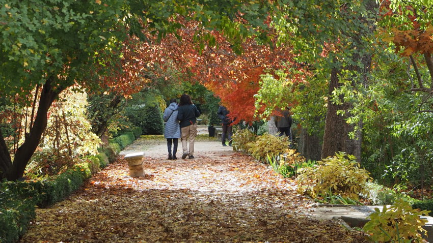 Paseo por el Jardín Botanico de Madrid